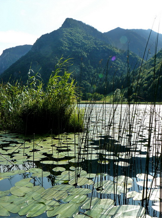 Laghi.......del TRENTINO