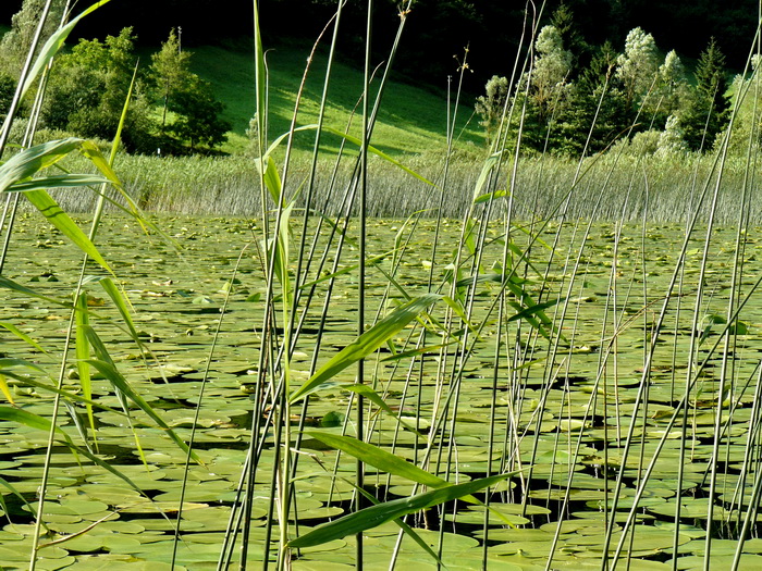 Laghi.......del TRENTINO