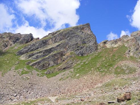 Armeria alpina / Spillo di dama