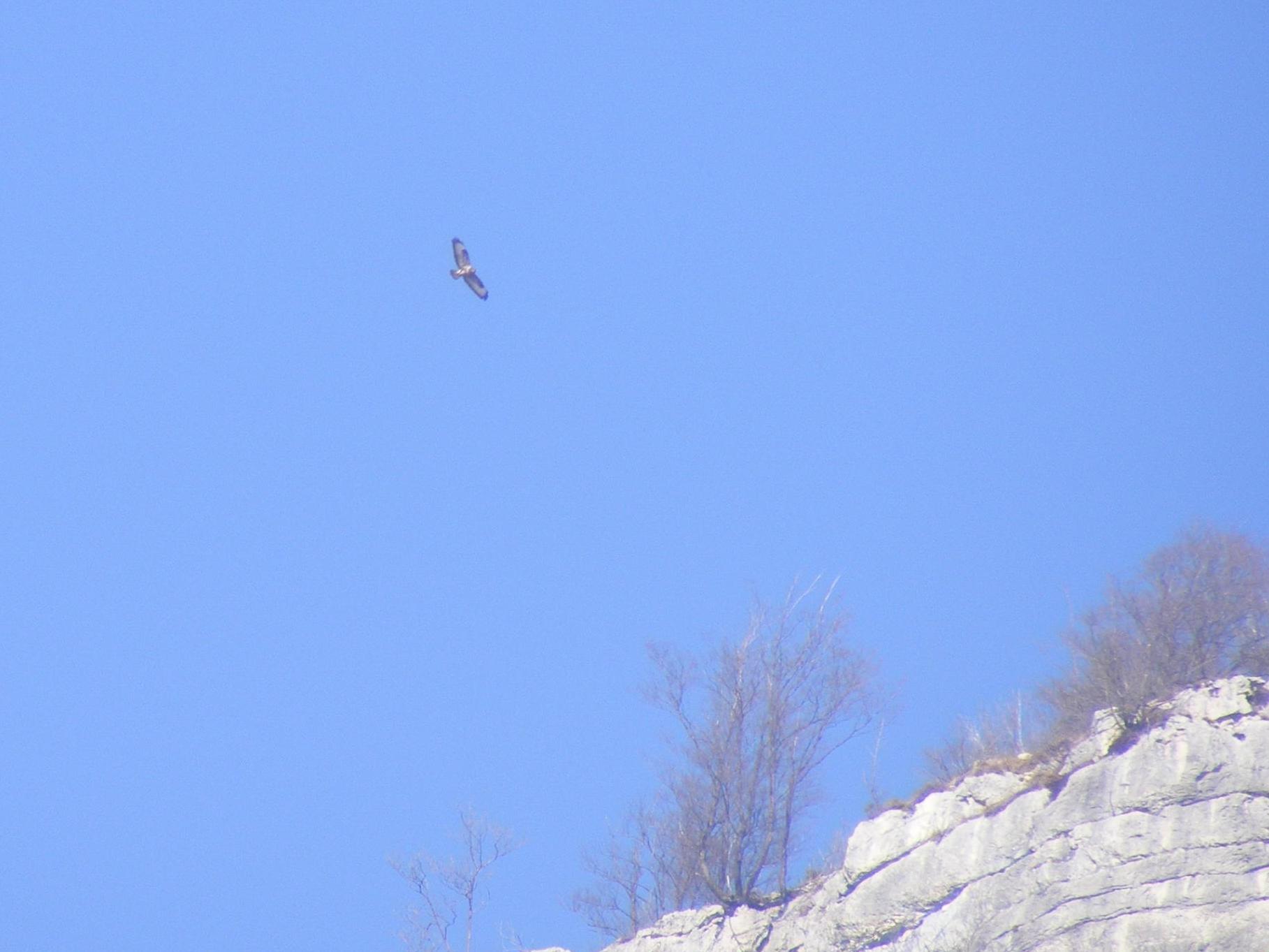 Troppa gente in montagna? Magari...