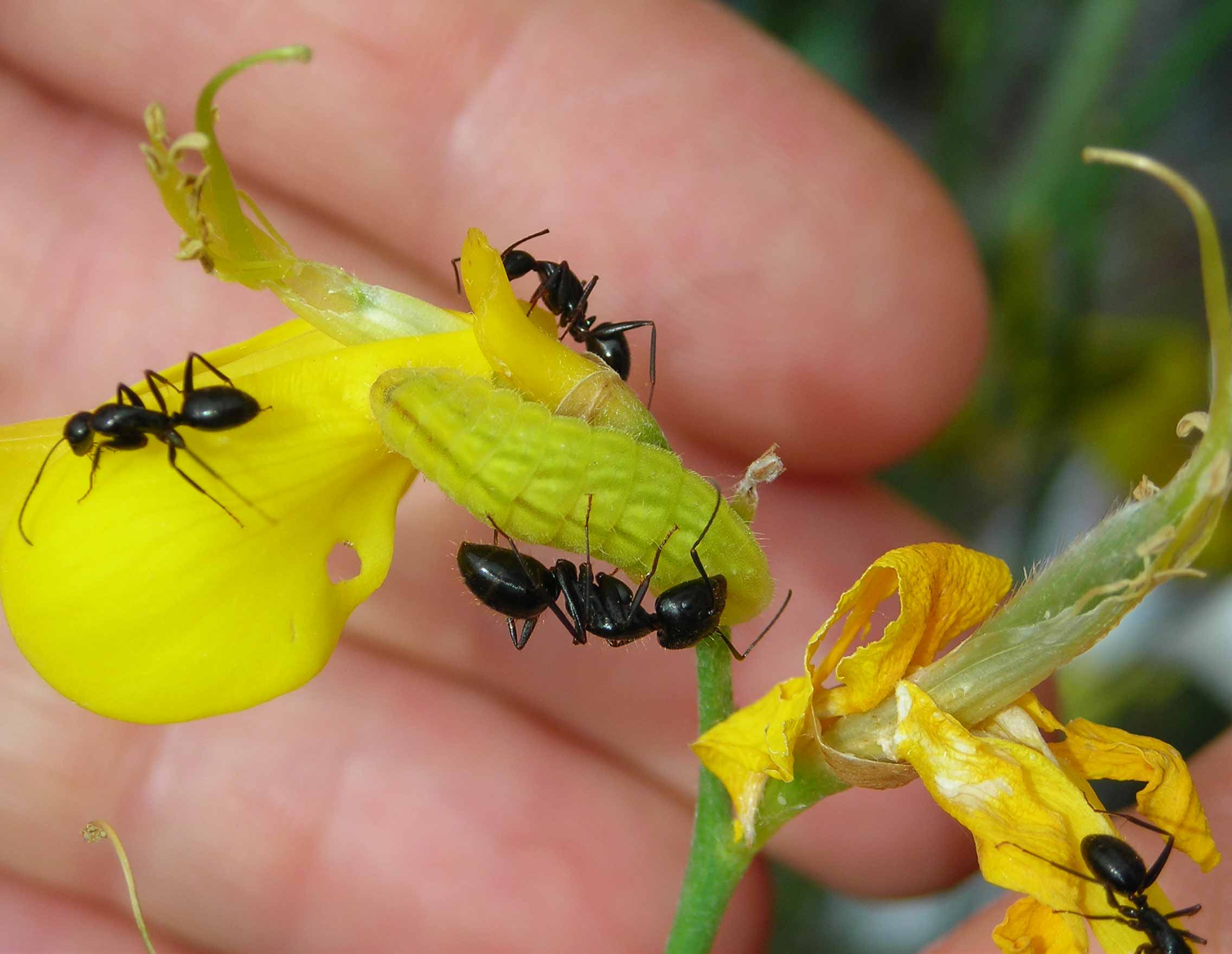 Parco dei Gessi Bolognesi e Calanchi dell''Abbadessa