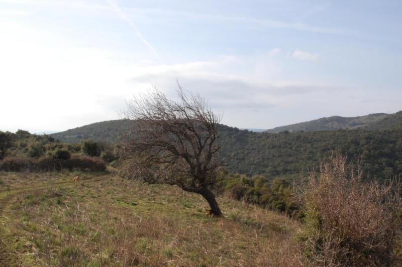 Escursione alla vedetta di P.ta Sa Chigantola