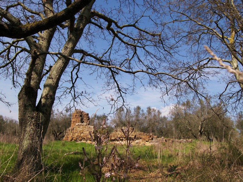 Attorno al Castello di San Giovenale