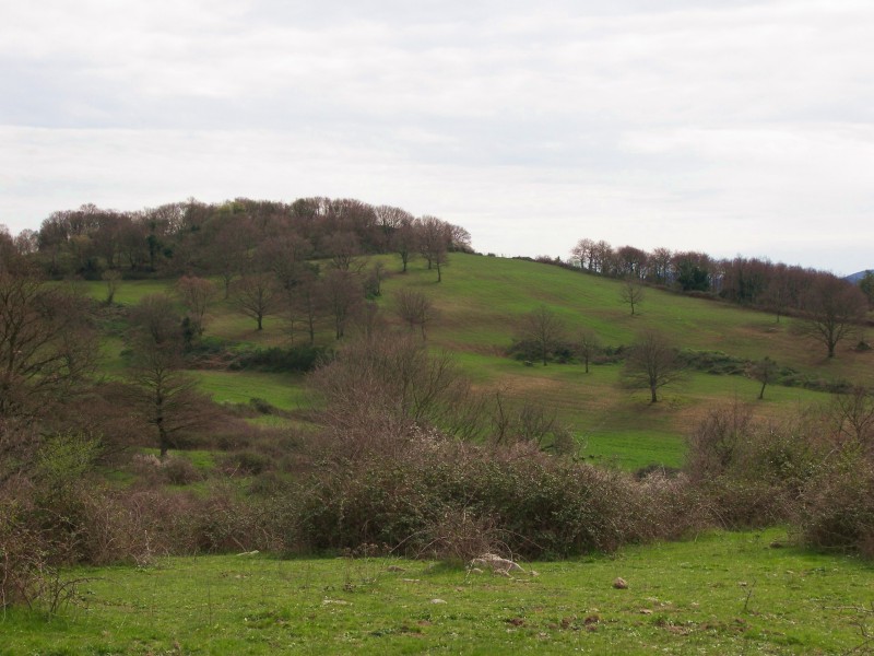 Alle rovine di Piantangeli