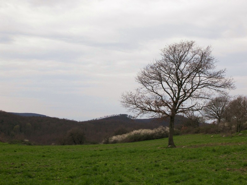 Alle rovine di Piantangeli