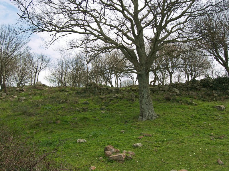 Alle rovine di Piantangeli