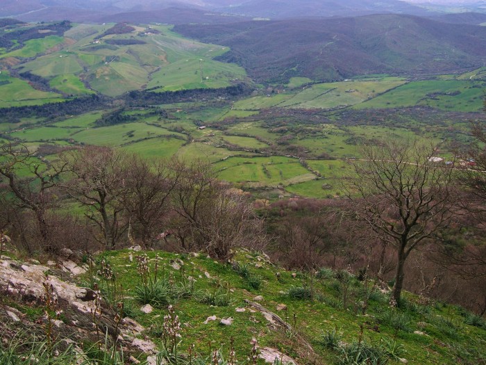 Alle rovine di Piantangeli