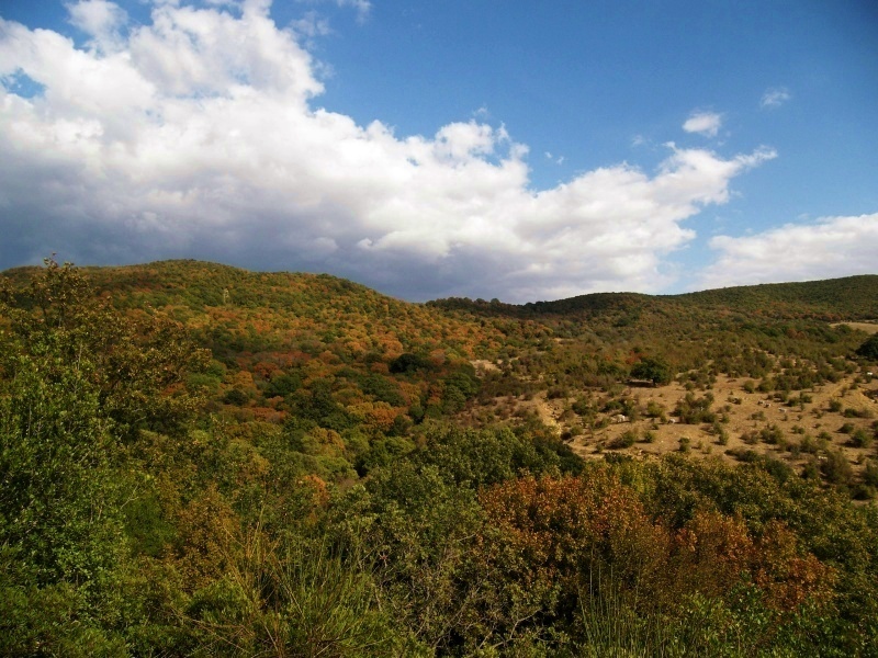 Gita fotografica sulla Tolfa