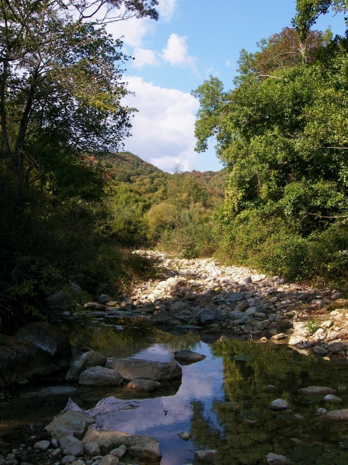 Gita fotografica sulla Tolfa