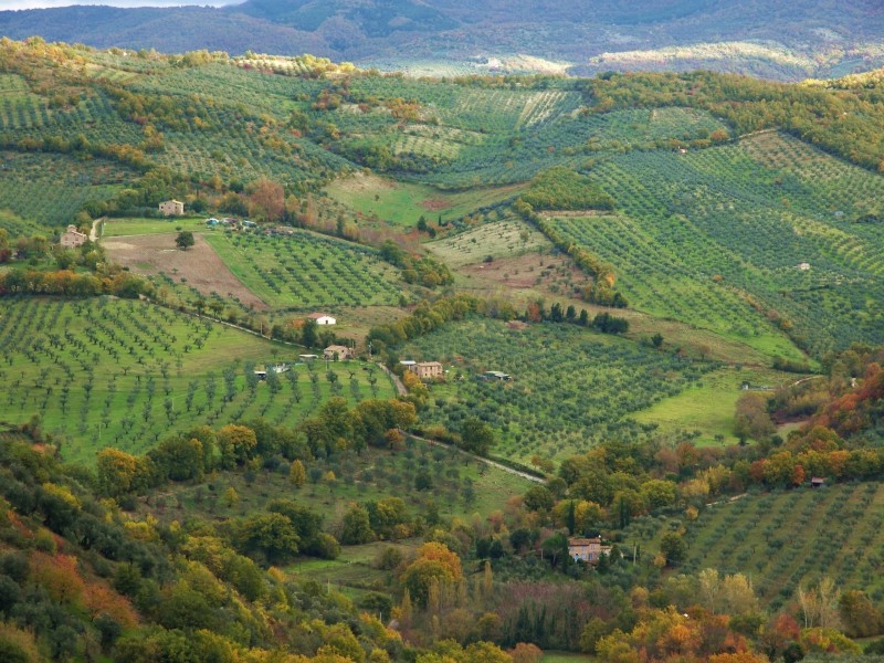 Sabina sublime-Dettagli d''autunno