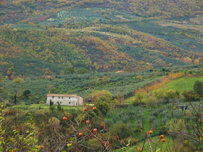 Sabina sublime-Dettagli d''autunno