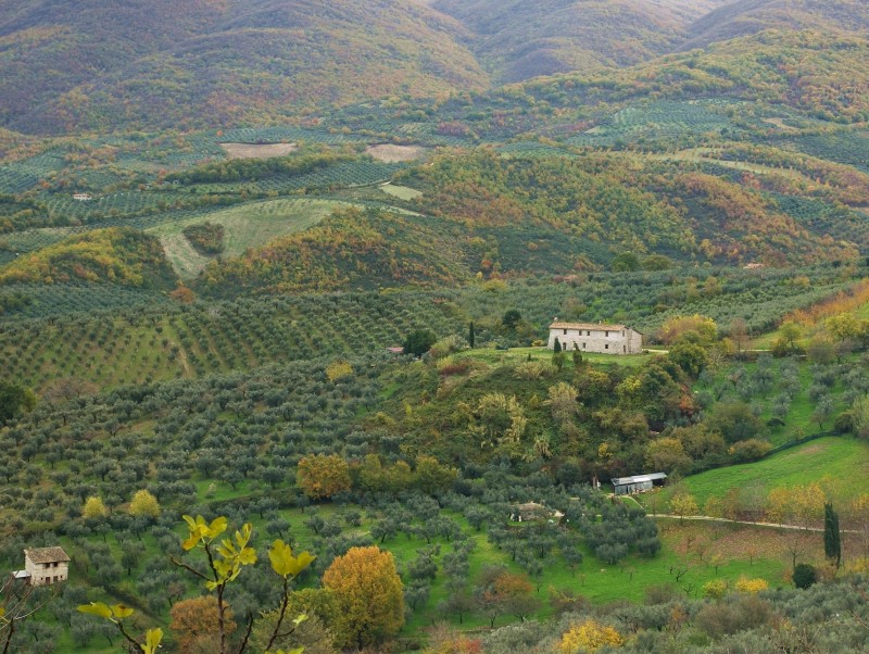 Sabina sublime-Dettagli d''autunno