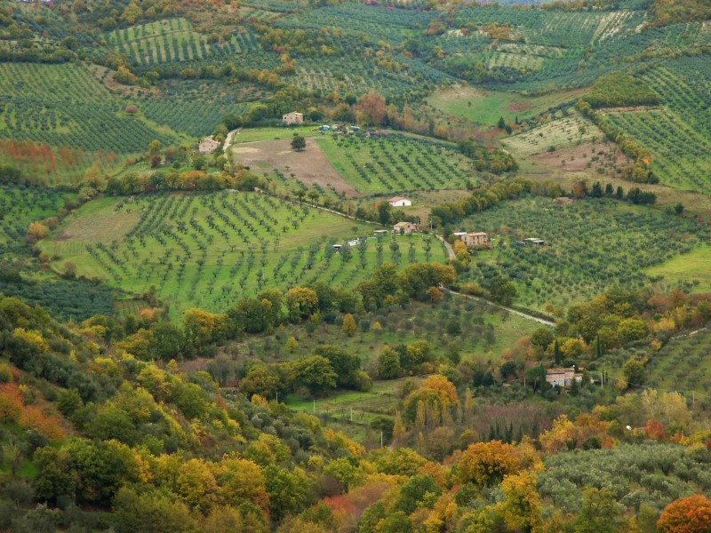 Sabina sublime-Dettagli d''autunno