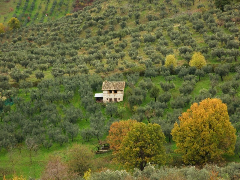 Sabina sublime-Dettagli d''autunno