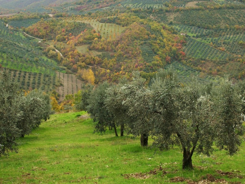 Sabina sublime-Dettagli d''autunno