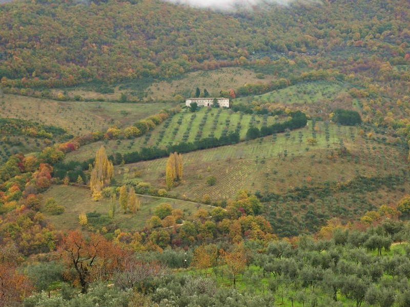 Sabina sublime-Dettagli d''autunno