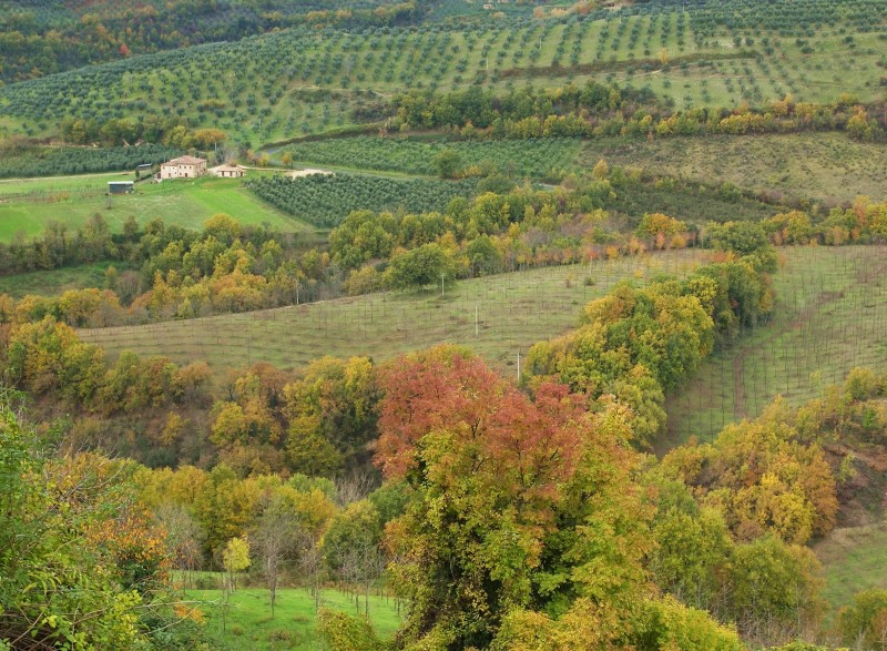 Sabina sublime-Dettagli d''autunno