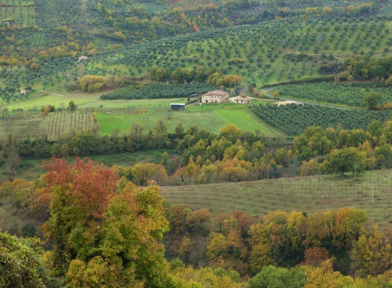 Sabina sublime-Dettagli d''autunno