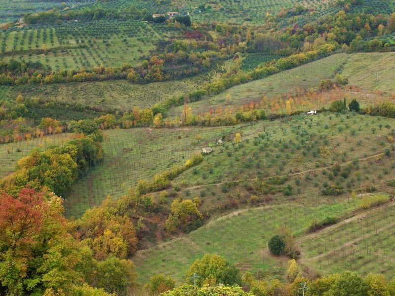 Sabina sublime-Dettagli d''autunno