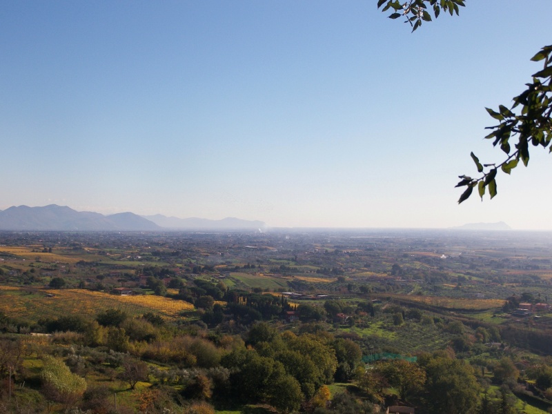 I Colli Lanuvini