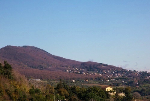 I Colli Lanuvini