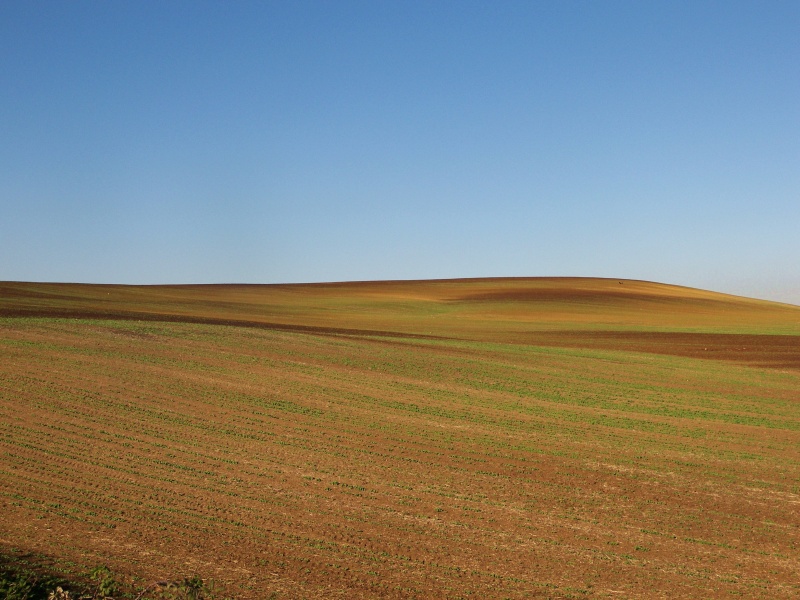 I Colli Lanuvini