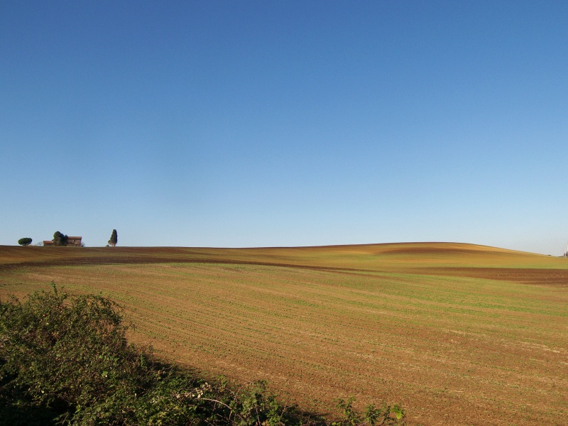 I Colli Lanuvini