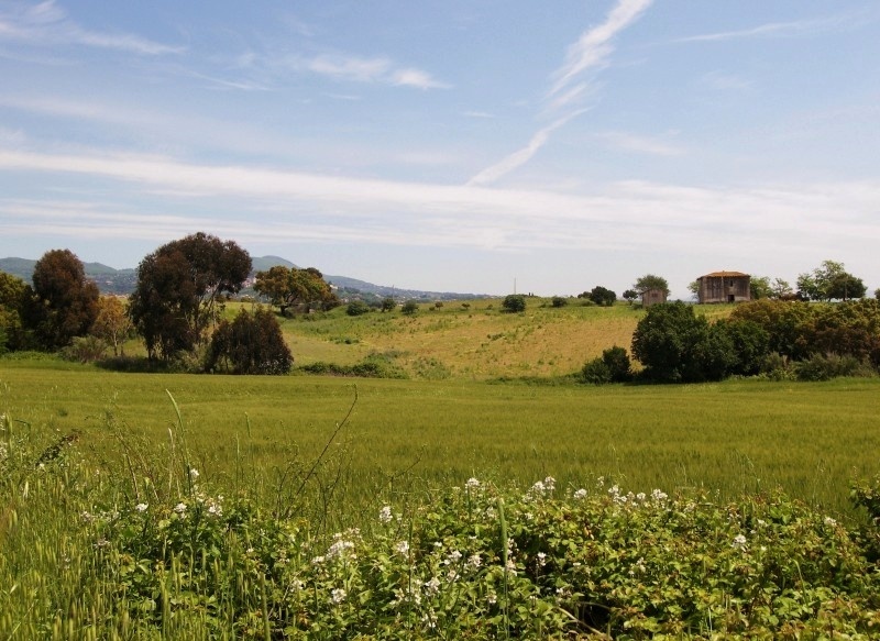 I Colli Lanuvini