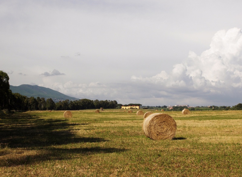 I Colli Lanuvini