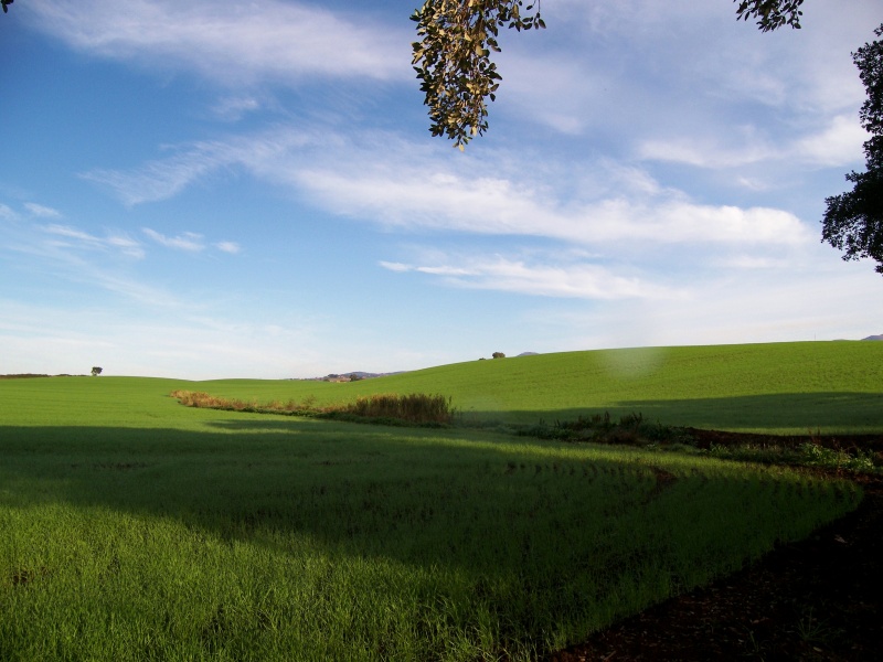 I Colli Lanuvini