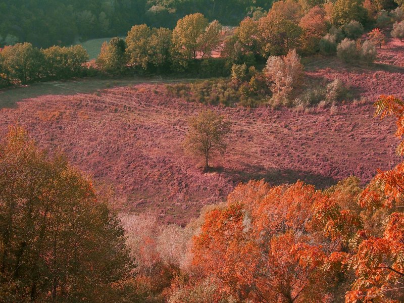 La Sabina Tiberina-Ritorno all''Arcadia