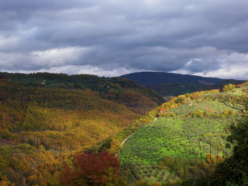 Sabina sublime-Dettagli d''autunno