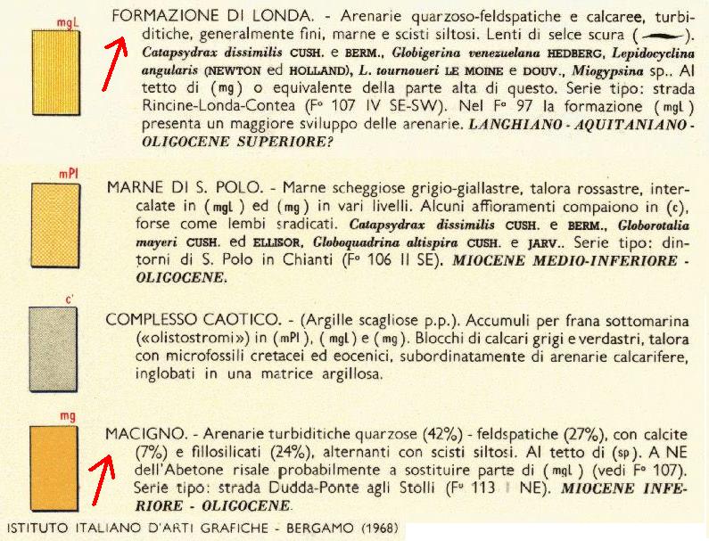 Anellide ?? - Valle Orsigna (PT)