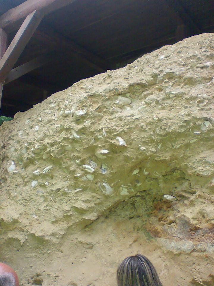 Parchi geologici in Toscana