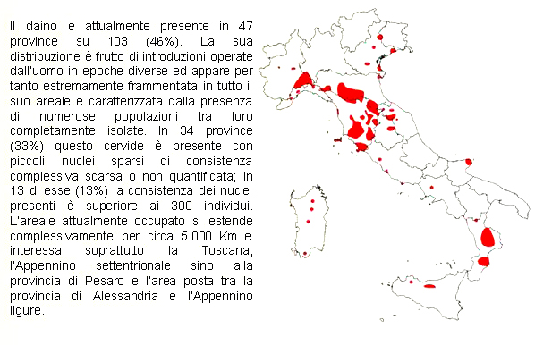 Daino: colorazione del mantello e altro...