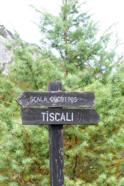 Tiscali