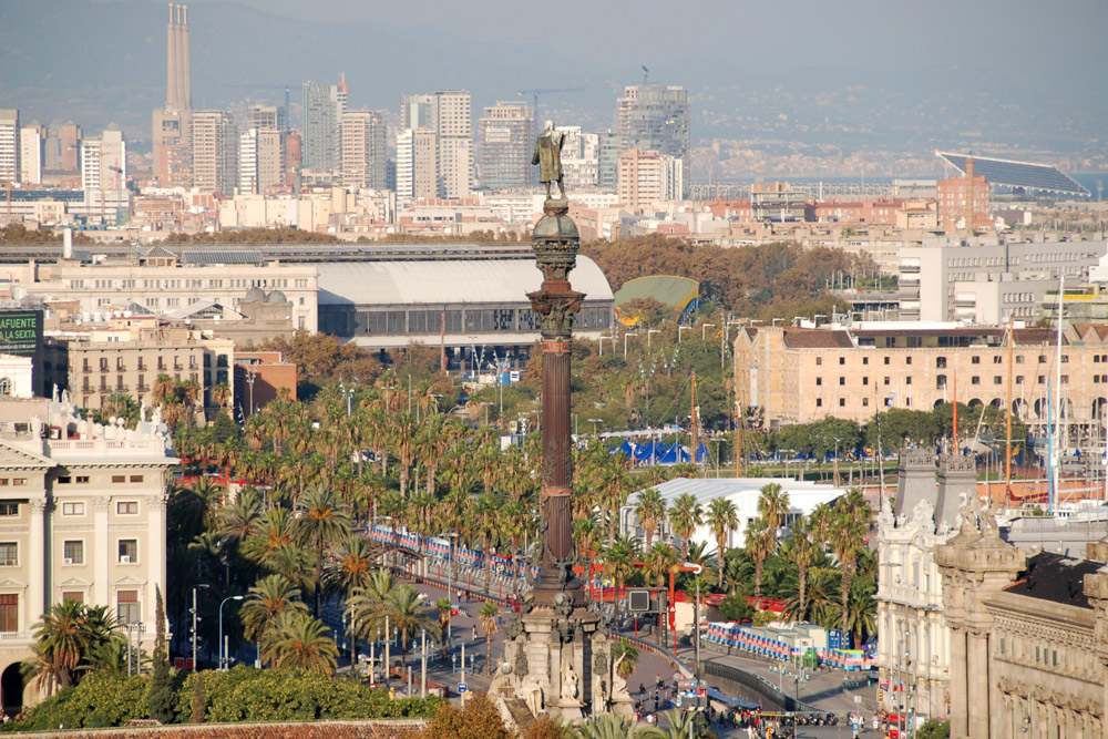 Statue e volatili