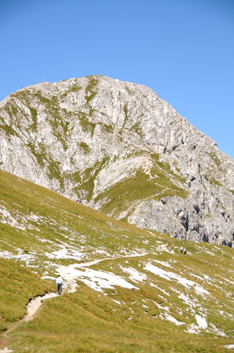 Dal Monte Ferrante