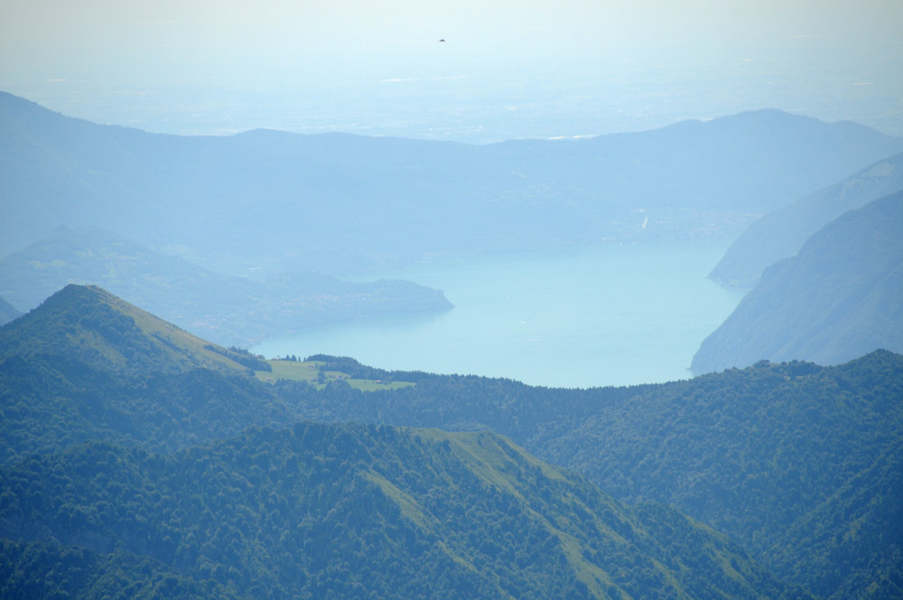 Dal Monte Ferrante