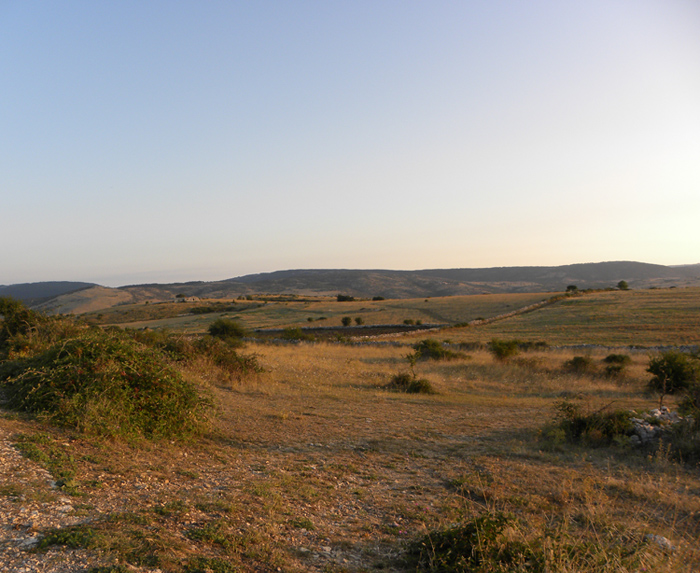 Averla piccola ambientata