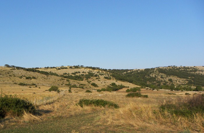 Averla piccola ambientata