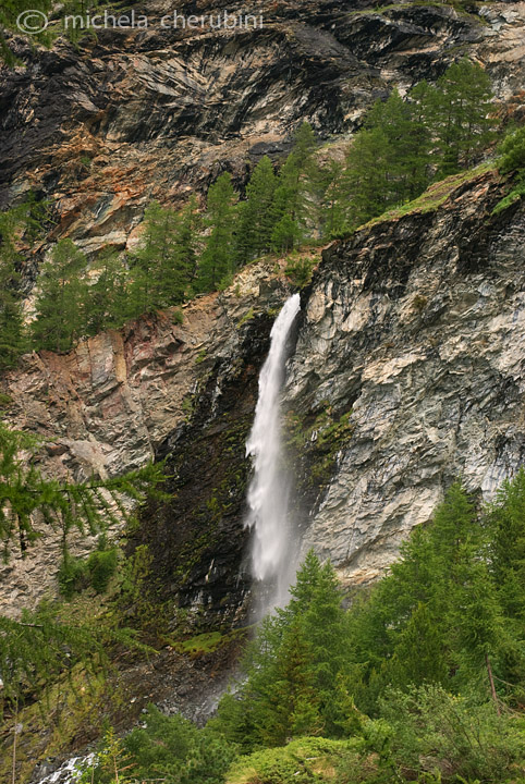 il Gran Paradiso e i suoi animali