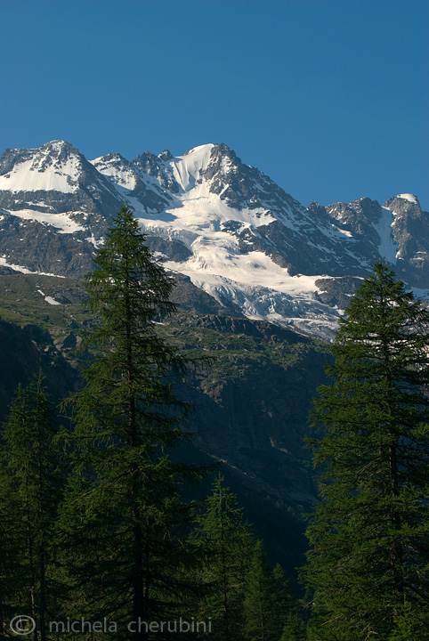 il Gran Paradiso e i suoi animali