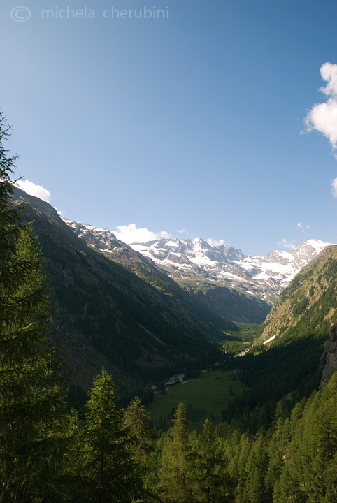 il Gran Paradiso e i suoi animali