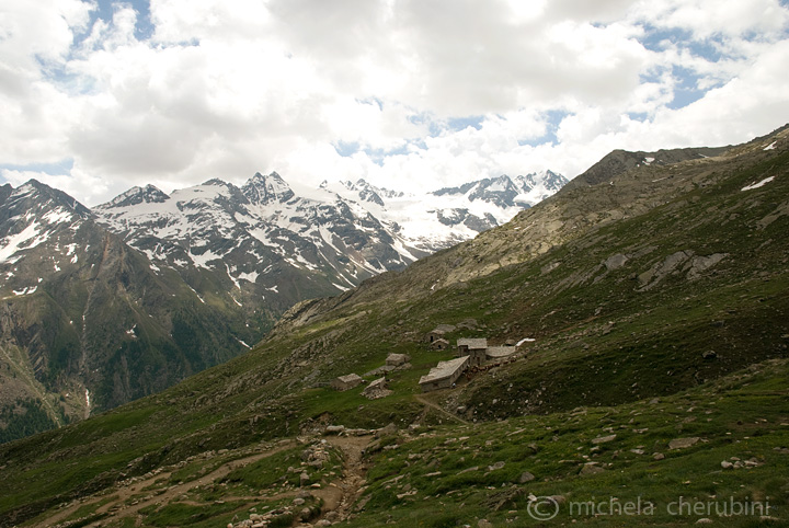 il Gran Paradiso e i suoi animali