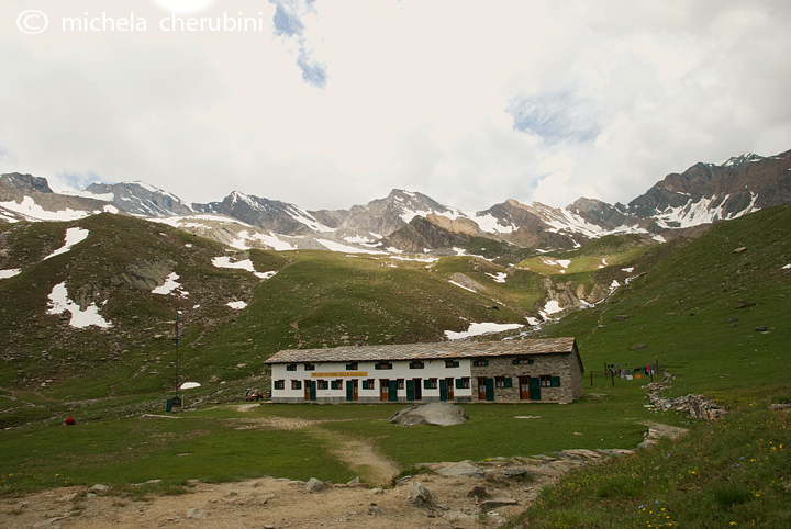 il Gran Paradiso e i suoi animali