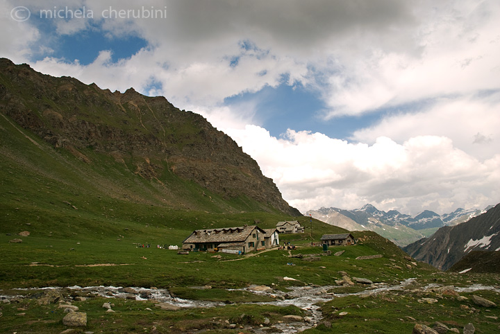 il Gran Paradiso e i suoi animali