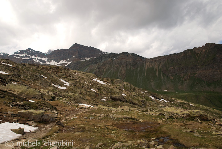 il Gran Paradiso e i suoi animali