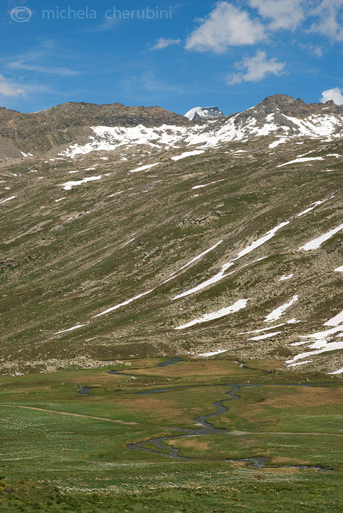 il Gran Paradiso e i suoi animali