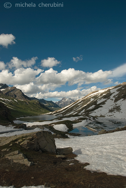 il Gran Paradiso e i suoi animali